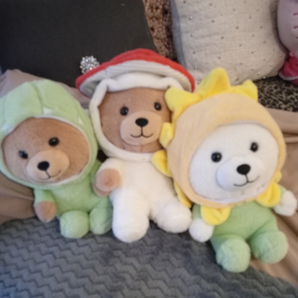 Bear Set